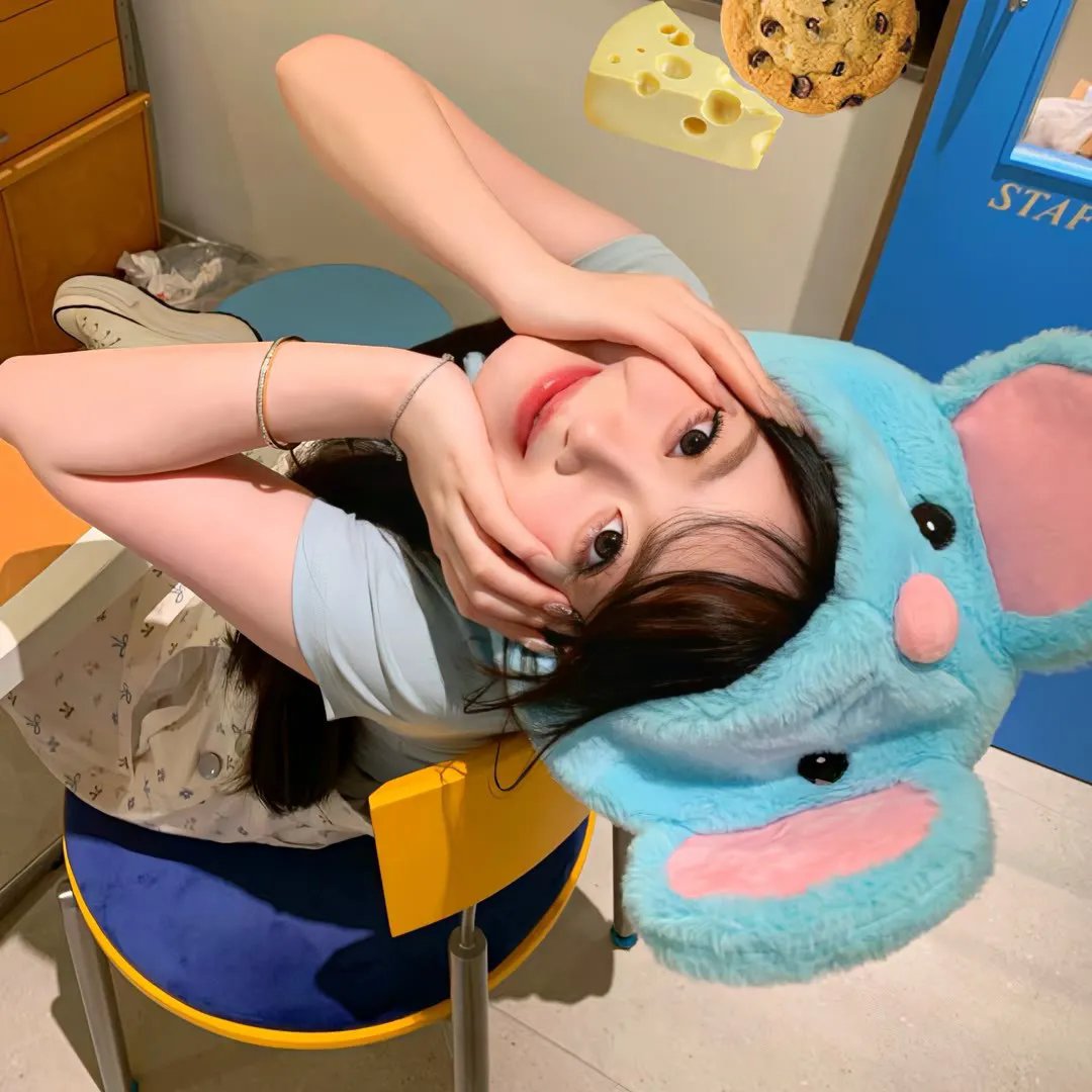 大象与小蝶物语